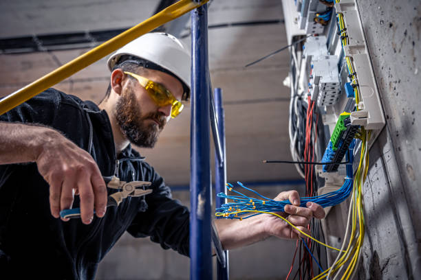 Best Electric Panel Repair  in Rantoul, IL