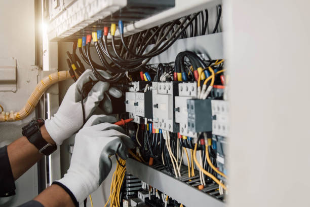 Best Electric Panel Repair  in Rantoul, IL